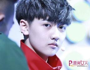 爆料娱乐圈焉栩嘉,揭秘明星背后的故事  第1张