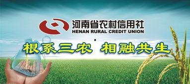 河南省农信社最新爆料,揭秘金融创新与风险防控新动态  第3张